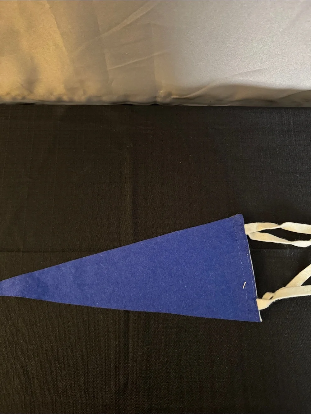 Source Unknown Blue and White Baruch College Felt Pennant